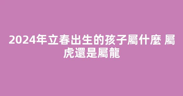 2024年立春出生的孩子屬什麼 屬虎還是屬龍